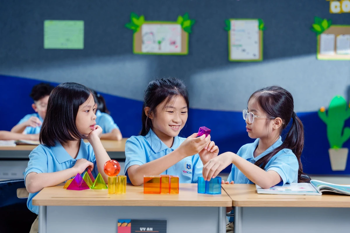 Are learning standards at Vinschool Kindergarten a "one-size-fits-all mold"?